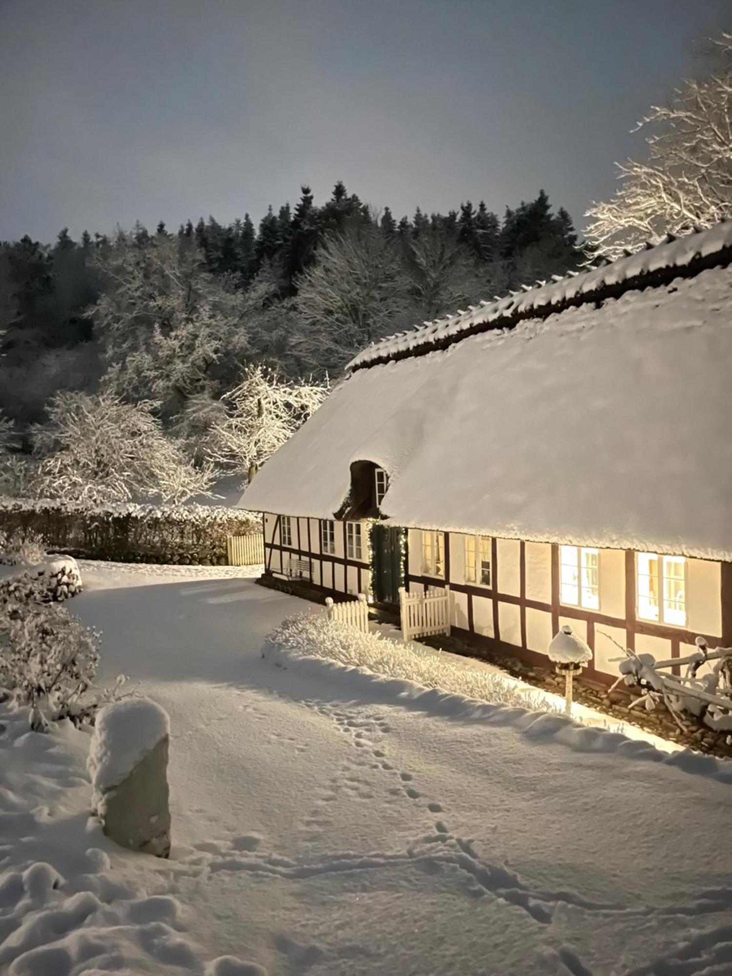 Lillemollens Bed & Breakfast Orbaek  Zewnętrze zdjęcie