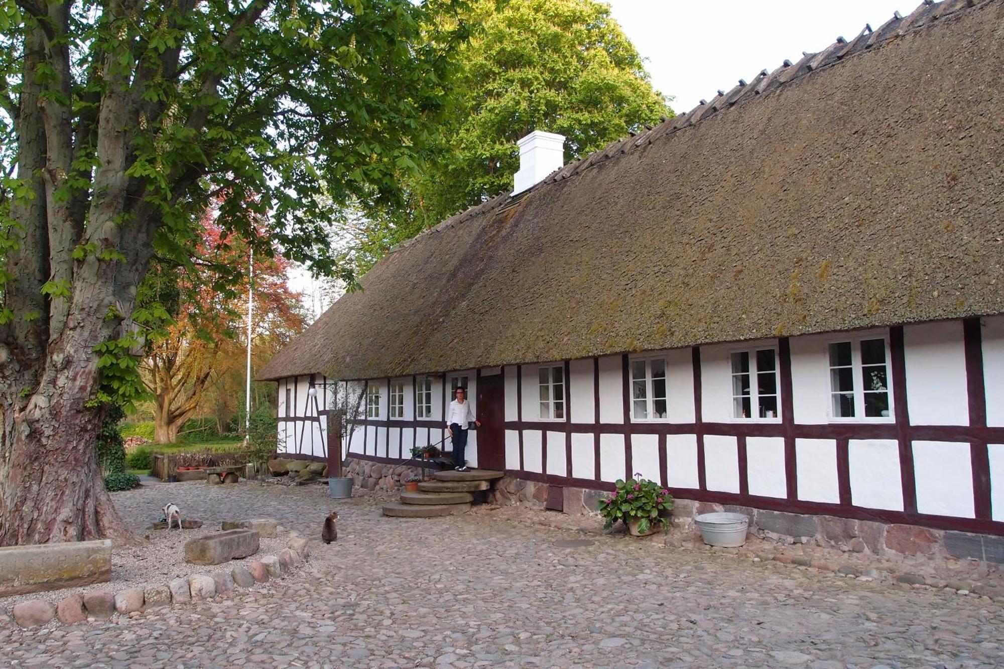 Lillemollens Bed & Breakfast Orbaek  Zewnętrze zdjęcie